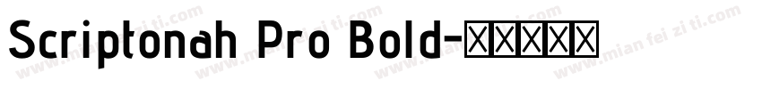 Scriptonah Pro Bold字体转换